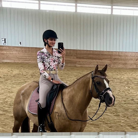 Animo Nuka FW22 Full Seat Breeches - Greige - Picture 3 of 11